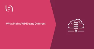 Read more about the article What Makes WP Engine Different
